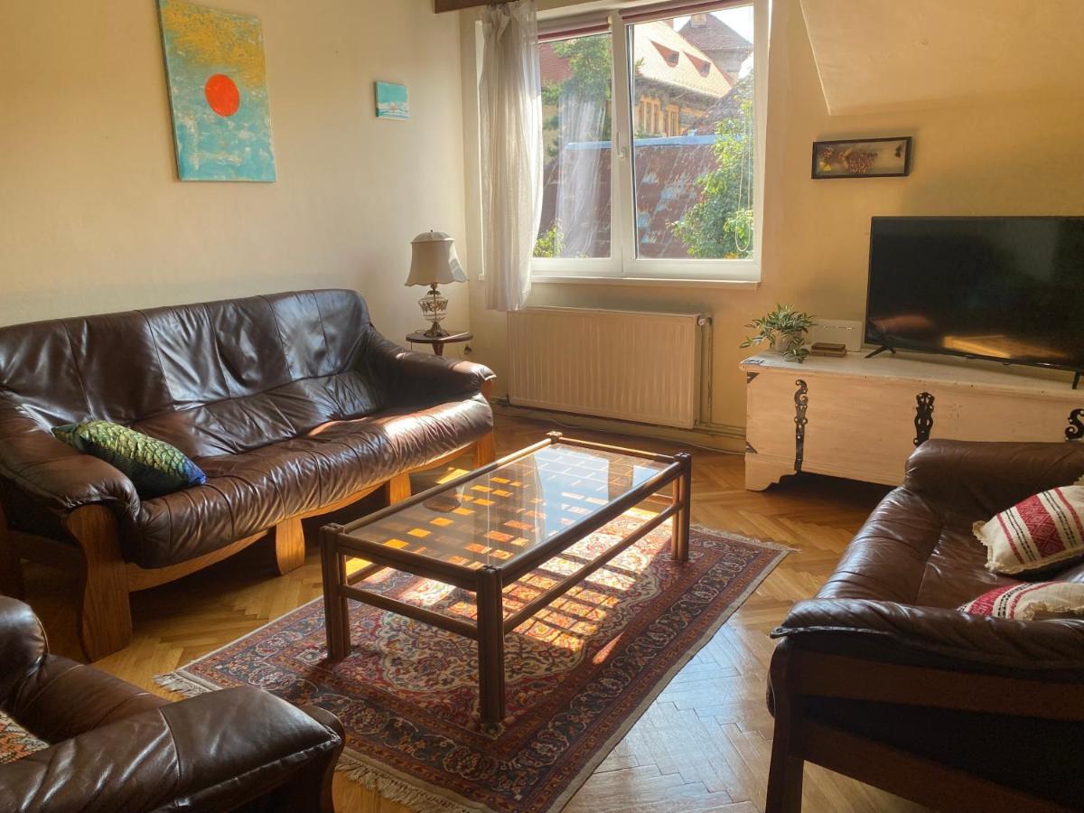 Rose'S Oldtown Apartment Brassó Kültér fotó