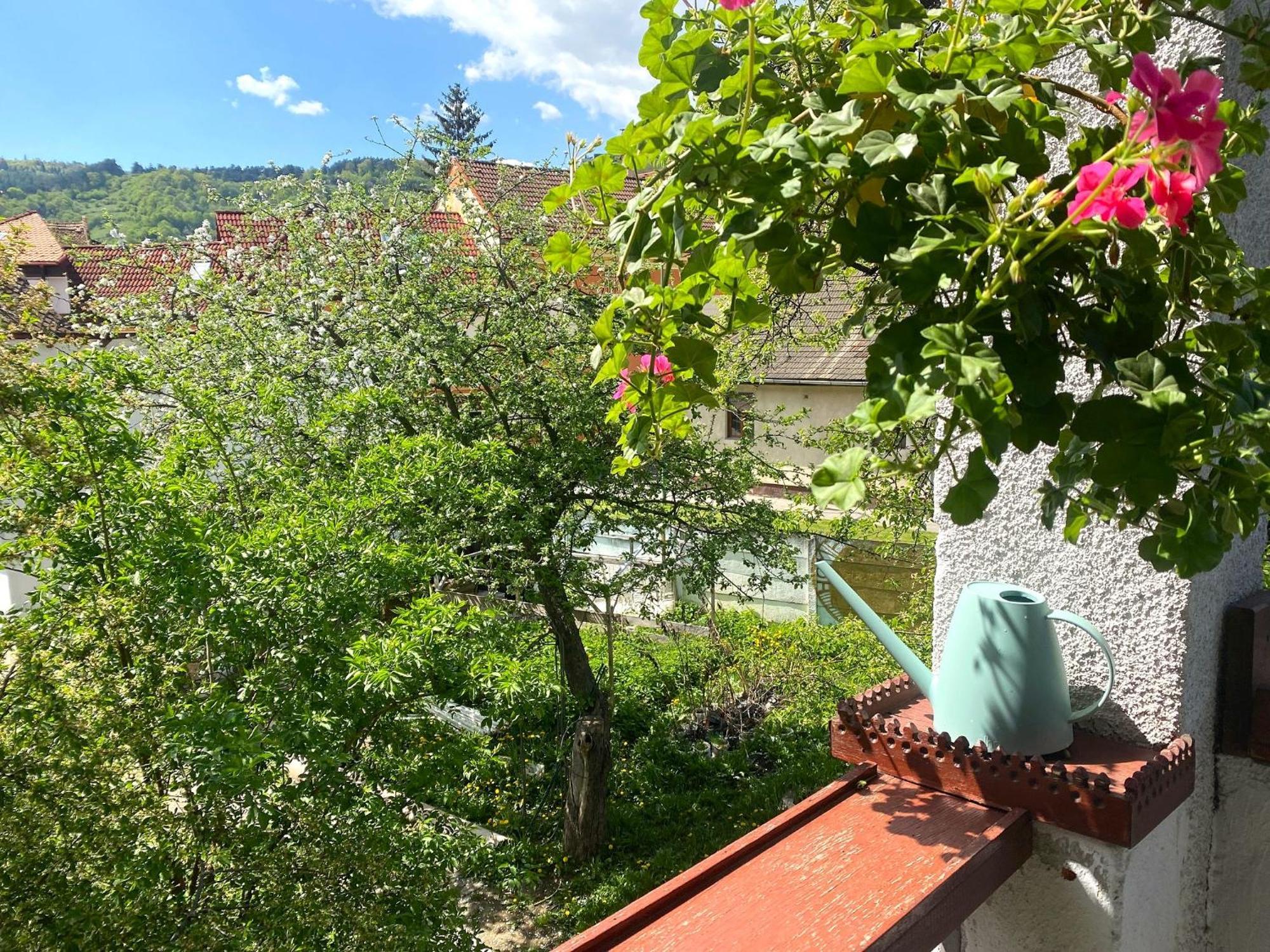 Rose'S Oldtown Apartment Brassó Kültér fotó