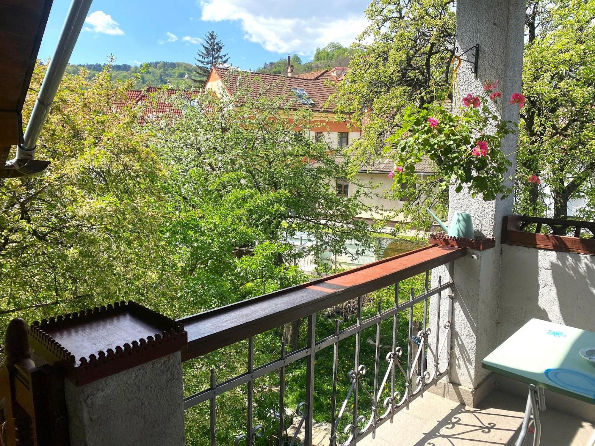 Rose'S Oldtown Apartment Brassó Kültér fotó