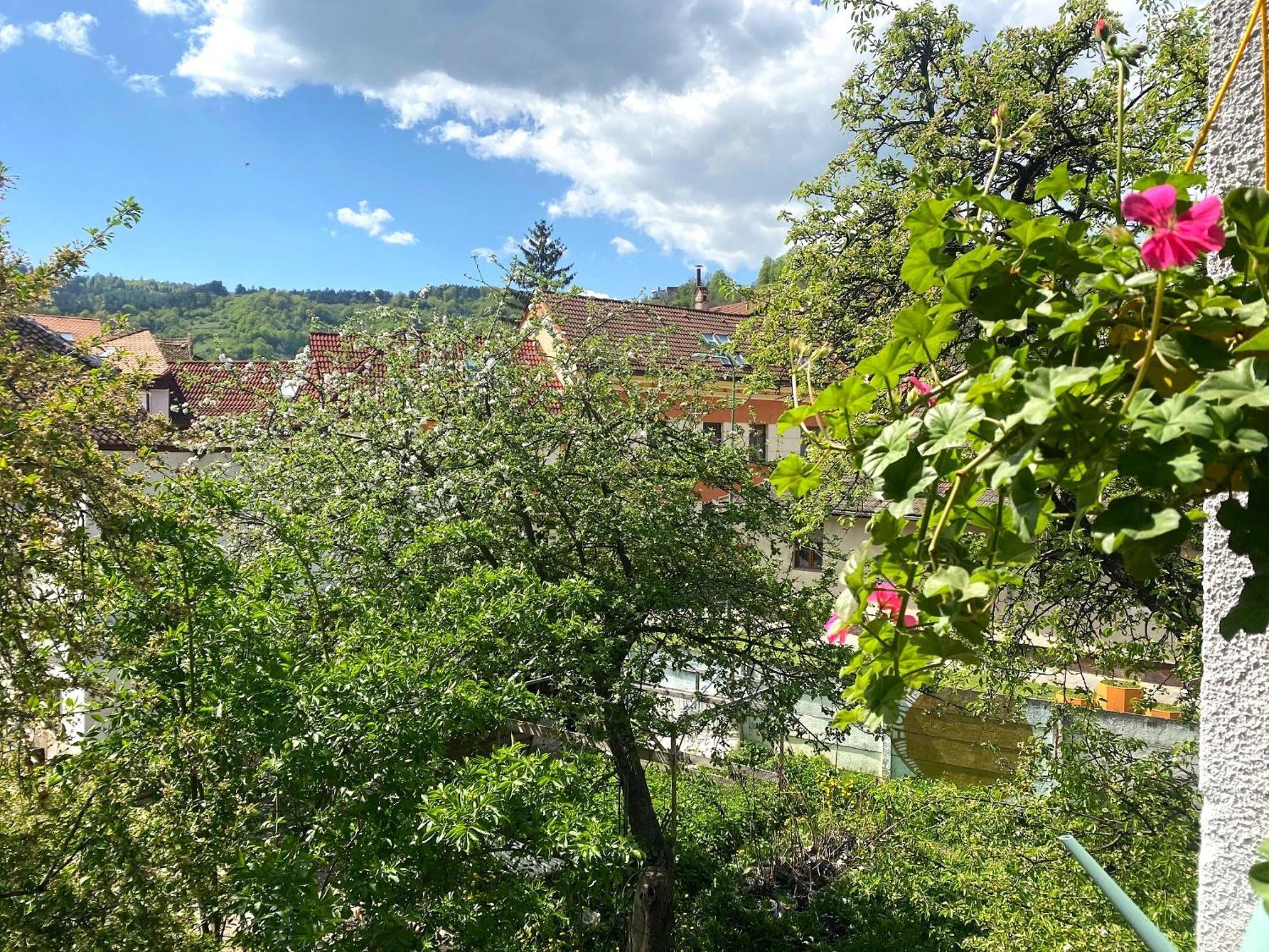 Rose'S Oldtown Apartment Brassó Kültér fotó